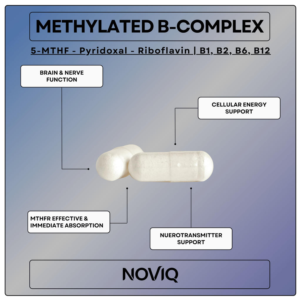 11-in-1 Nootropic Supplement: Supports Memory & Cognition - 100mg Ginkgo 150mg Bacopa 300mcg Huperzine 200mg L-Theanine 150mg L-Tyrosine & Bioactive B-Complex w/ 5-MTHF - 1,100mg+ Serving - 60 Count