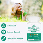 Spliferikou Ecklonia Cava Extract, 800mg, 60 Veggie Capsules with Fucoidan, Green Tea, Turmeric, CoQ10, Dietary Supplement