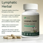 PKQLQ Lymph Drainage Capsules | Natural Detoxification Help Maintain the Healthy Fluid Balance of Both Women and Men, Promote Blood Virculation and Maintain Good Health. 60 Capsules (1)