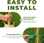 2 Pack 63 Inch Bendable Moss Pole Monstera Plant Support Stakes for Indoor Plants - Tall Moss Stick Trellis for Potted Climbers - Stem Support Accessories for Climbing Houseplants