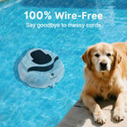 PoolPure Aquaguard SE II 2025 Upgrade Cordless Robotic Pool Cleaner with 120-Min 5000mah Big Battery (Blue)