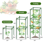 6 Pack 43.3 Inch Adjustable Tomato Cages Garden Plant Trellis