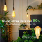 DiCUNO E26 Edison Bulbs 60W, 2200K Amber Warm, Amber Glass, 600LM, 2-Pack