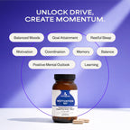 Suppgrade Labs Motivation 101 by Dave Asprey | Targeted Dopamine Support for Drive + Mood | Supports Focus, Memory, Learning, Balanced Moods, and Positive Mental Outlook | 30 Day Supply