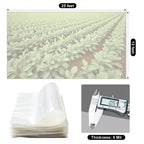Greenhouse Plastic Sheeting 12 x 25ft - 6 Mil Clear Polyethylene Film, UV Resistant & Anti-Drip Heavy Duty Plastic Cover - Multi-Purpose Clear Tarp for Garden, Agriculture, and Construction (5-Layer)