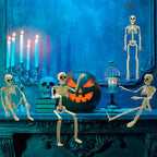 6PCS Skeleton Halloween Decorations, 16in Full Body Poseable Small Skeleton