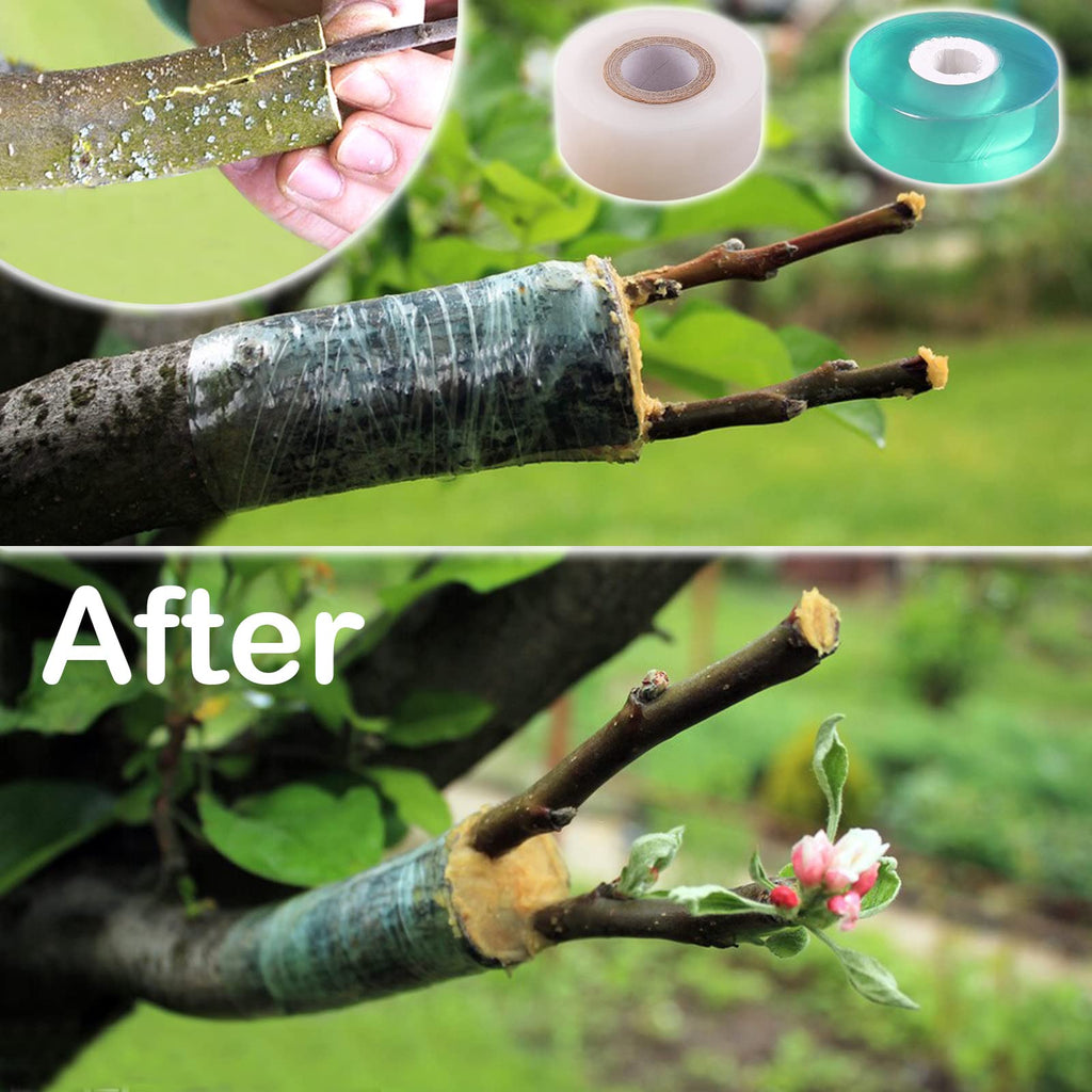 MIDOUWEST Grafting Cutter Kit 6-Piece for Fruit Trees & Vines