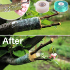 MIDOUWEST Grafting Cutter Kit 6-Piece for Fruit Trees & Vines