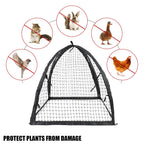 Strawberry Plant Protector,22 x22 x 22 Inch Cloche Dome for Plants