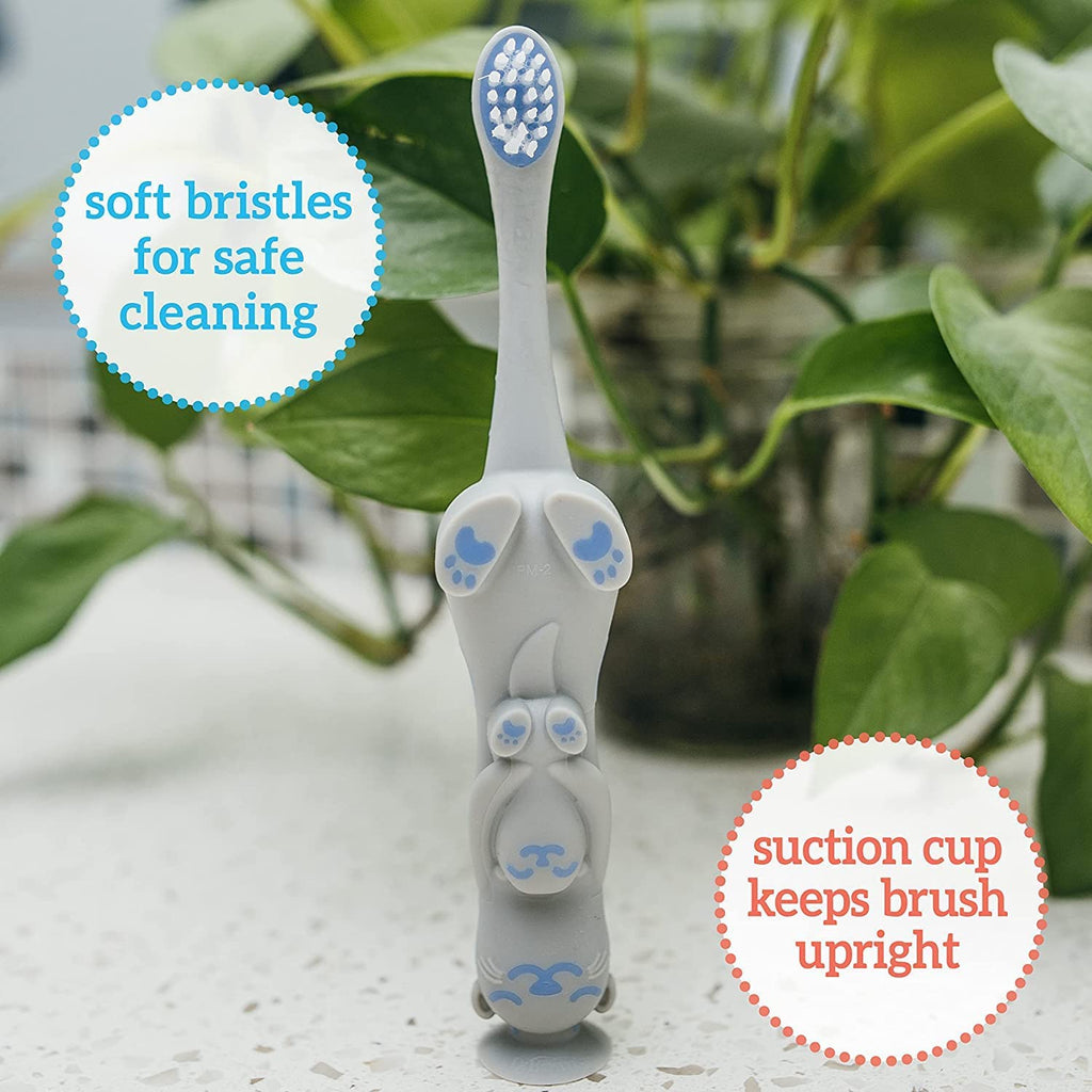 Dr. Brown's Baby and Toddler Toothbrush Set, Otter with Apple Pear Flavor Toothpaste