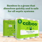 Caboo Tree Free Toilet Paper | Septic Safe, Eco Friendly, Chemical Free, Non Toxic | 2 Ply Toilet Tissue, Pack of 24 Double Rolls, 300 Sheets Per Roll