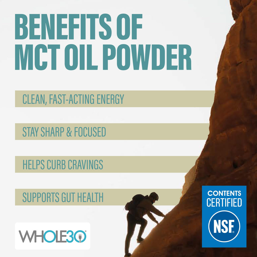 BUBS Naturals MCT Oil Powder Packets - Medium Chain Triglycerides - Keto Vegan & Paleo Friendly - Healthy Coconut Fats + Low Carb - Dairy-Free Energy Source - includes 14 Travel Packets