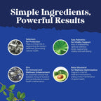 Saw Palmetto for Men with Beta Sitosterol - Saw Palmetto Extract Prostate Support Supplement for Men's Health & Better Bladder Control Plus Restoring Hair Supplement for Hair Health for Men - 60ct