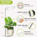 GTRUIIDY Desktop Grow Light, Full Spectrum Plant Light with Timer, Height Adjustable Halo Grow Lamp for Indoor Plants, 3 Lighting Modes for Seedlings & Succulents, White