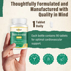 Kynderynl Nattokinase Supplement 10000FU – Organic Natto Enzyme 500mg for Circulatory Wellness, Enteric-Coated Tablets Aiding Digestion & Assisting Absorption, Vegan, 90 Tablets (90-Day Supply)