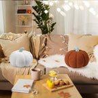 Kajaia 2 Pcs 3D Pumpkin Pillow Fall Decor Halloween Cushions, White, Brown