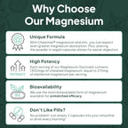 Organics Ocean Pure Magnesium Glycinate with Zinc - Maximum Strength Chelated Magnesium Supplement for Women and Men for Muscle Cramps and Sleep Support - 2 Bottles