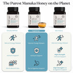WildCape Manuka Honey Certified UMF 15+/MGO 514+ - 100% Pure, Raw, Unpasteurized, Non-GMO, Made in New Zealand - 17.6 oz (Pack of 1)