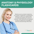 TribeRN Anatomy and Physiology Flash Cards – 320 Study Resources for Students – Human Anatomy & Physiology Study Tools – Medical, Nursing School Essentials – Durable & Easy to Use Flashcards