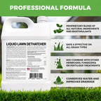 Covington Liquid Lawn Dethatcher (32oz) – Liquid Aerator Concentrate & Humic Thatch Remover, Soil Softener & Grass Thatch Buster for Lawns & Gardens – Kids & Pet Safe, Made in USA
