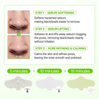 Dr.Melaxin CACTOX 3-STEP NOSE MASK PACK with AHA & PHA for Sebum Softening Pore Tightening Skin Repair 3-Step Nose Pore Pack