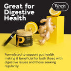 Pinch Magic Fiber - Lemon Ginger 2-Pack