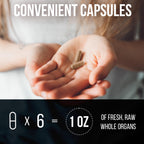 Beef Organ Supplement Complex - 10 Carnivore Grass Fed Proprietary Blend of Liver, Marrow, Brain, Thymus, Spleen, Kidney, Colostrum, Heart, Pancreas, Gallbladder - 180 Caps