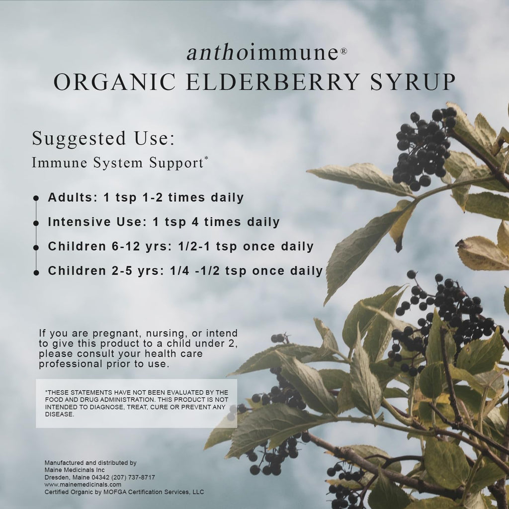 Maine Medicinals Organic Elderberry Syrup - Anthoimmune - Immune Support Supplement for Adults and Kids- USDA Organic, Ultra-Premium Black Elderberry Formula (8 oz) 48 Servings