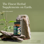 Gaia Herbs Quick Defense - Fast-Acting Immune Support Supplement* - Echinacea, Black Elderberry, Ginger & Andrographis - 20 Vegan Liquid Phyto-Caps (10 Servings)