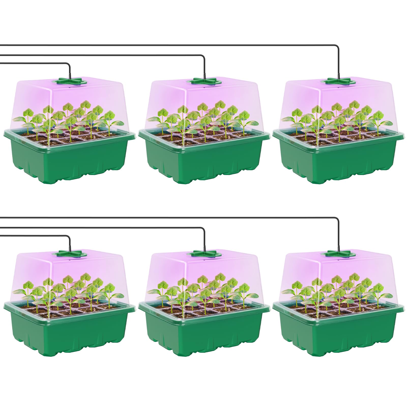 MIXC Seed Starter Kit with Grow Light, Elevated Seedling Tray Kit with Adjustable Humidity Dome and Clear Cell Tray, 12 Full Spectrum Led Beads for Seed Starting Greenhouse, 6 Pack, Green