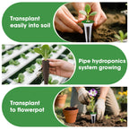 PlantaPulse 129 Pcs Hydroponic Pods Kit with A&B Plant Food, 50 Grow Sponges, 50 Plant Labels, 12 Grow Baskets, 12 Grow Domes and 1 Tweezers - Indoor Hydroponics Supplies