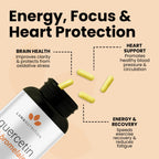 Luma Nutrition Quercetin 500mg - Quercetin with Bromelain Supplement - Antioxidant - Immune Support - Vegan & Gluten-Free - 60 Capsules