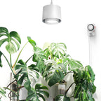 Barrina TR40 Hanging Plant Lights for Indoor Plant, 40W 5000K Full Spectrum
