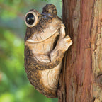 Bits and Pieces Keep Quiet Frog Tree Peeker - Adorable Tree Sculpture - Garden Decoration - Yard Art