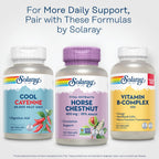SOLARAY Horse Chestnut Extract 400 mg - Standardized to 72 mg Aescin - with 55 mg of Butchers Broom - Vein and Blood Circulation Supplements - Vegan, Non-GMO, 60-Day Guarantee, 120 Serv, 120 VegCaps