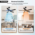 Conciseer Modern Ceiling Fans with Lights,52 Inch Ceiling Fans with Remote for Bedroom Living Room Kitchen, 18W 6CCT Dimmable，5 Blades 6 Speed Reversible Quiet DC Motor Black