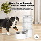 RIZZARI Automatic Gravity Pet Dispenser: Helps Prevent Urinary Stones - Activated Carbon Ion Exchange System - 6.5L Large Capacity Stainless Steel-Ideal for Cats & Small Dogs-All-Day Hydration at Home