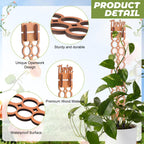 Otoolling 6 Sets Wooden Extendable Plants Trellis Indoor Modular Plant Trellis with Wood Thrive Sign Decor and Extensions for Outdoor Climbing Houseplants Vine Flower Stem(Circle)