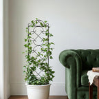 Thealyn 4 Pack 48" x 12.5" Metal Trellis for Potted Plants and Planters