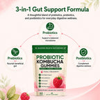 Awjsde Jevawell Kombucha Gummies, Prebiotic Probiotic Postbiotic Formula, Digestive & Gut Health Support, Microbiome Balance & Digestive Comfort, Vegan, Non-GMO, 60 Gummies (1 Peak)