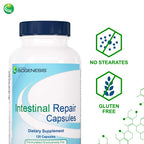 Nutra Biogenesis Intestinal Repair Capsules - Herbal Gut Health Supplement for Women & Men with Sodium Butyrate, Daily - 120 Capsules