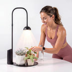 Cordless Small Grow Light for Indoor Plants, Magnetic Docking Desktop Plant Light with 4/6/8H Timer, Rechargeable Grow Light Full Spectrum LED Lamp for Office Desk, Succulents, Herbs