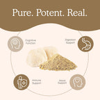 Real Mushrooms Lion’s Mane Powder - Organic Lions Mane Mushroom Extract for Cognitive Function & Immune Support - Brain Supplements for Memory and Focus - Vegan Mushroom Supplement, 150 Servings