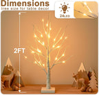 EAMBRITE Lighted Birch Tree Home Decor, Christmas Decorations Indoor 2Pack 24 LED Light Up Tabletop Mini Small Artificial White Trees Lamp with Lights Battery Operated/USB for Table Mantel (2FT)