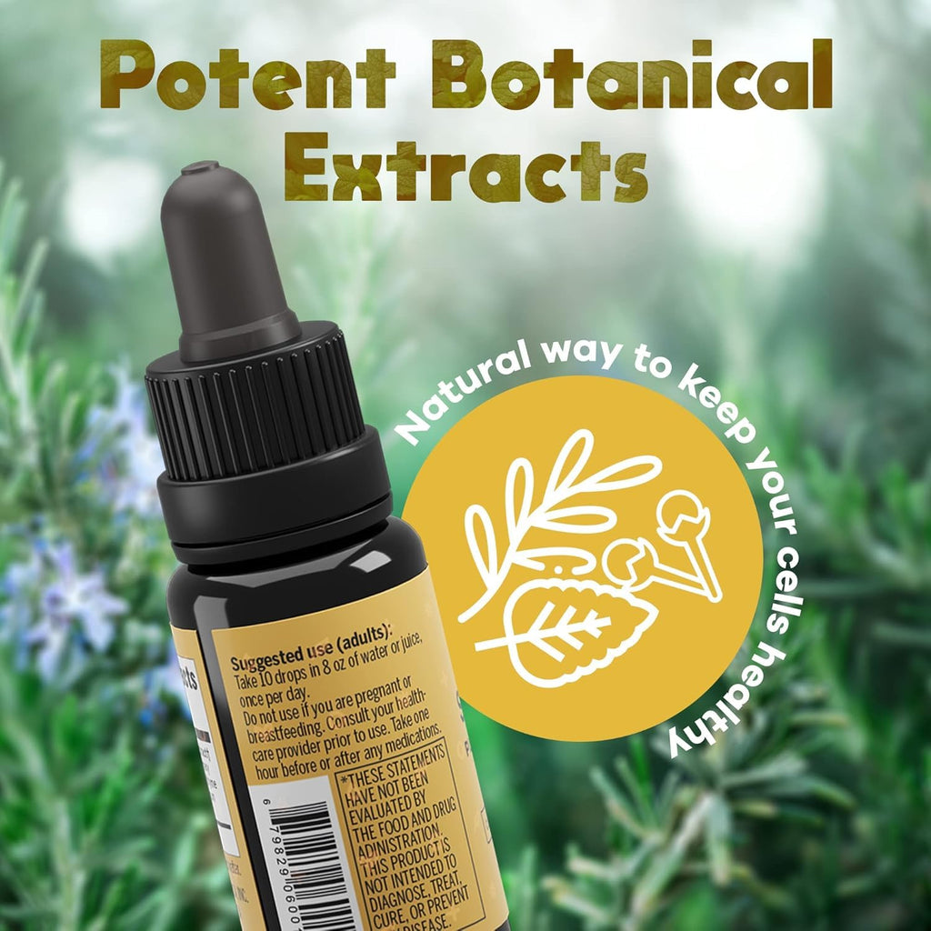 Activation Solaris Essential Oil | 15 ml | Aromatic Blend with Thyme, Peppermint, Rosemary, and Clove | Refreshing Scent for Diffuser and Topical Use | Clean Plant-Based Formula