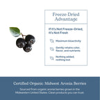 Eclectic Institute Raw Freeze-Dried Organic Aronia Berry Capsules | Supports Heart, Immune System, Digestive, and Urinary Tract Health | 90 CT (450 mg)