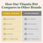 Global Healing - Organic Vitamin B12 5000 MCG Sublingual Liquid - Methylcobalamin, Hydroxo Blend & More - Methylated Drops for Adults - Vegan, Non-GMO, VIT B12, Vitamins Supplement (2 Oz)