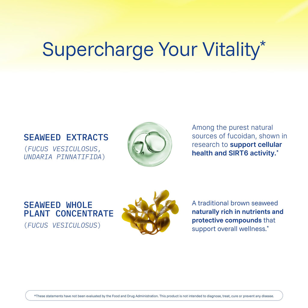 ProHealth Sirtuin 6 Activator | 60 Capsules | Fucoidan-Rich Seaweed Extract to Activate SIRT6 for Longevity, DNA & Cellular Support | Triple Lab-Tested, GMP-Manufactured in USA