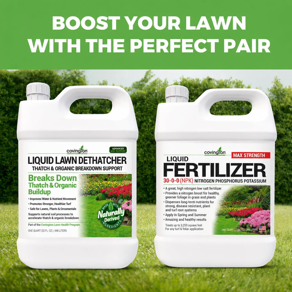 Covington Liquid Lawn Dethatcher (32oz) – Liquid Aerator Concentrate & Humic Thatch Remover, Soil Softener & Grass Thatch Buster for Lawns & Gardens – Kids & Pet Safe, Made in USA