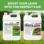 Covington Liquid Lawn Dethatcher (32oz) – Liquid Aerator Concentrate & Humic Thatch Remover, Soil Softener & Grass Thatch Buster for Lawns & Gardens – Kids & Pet Safe, Made in USA